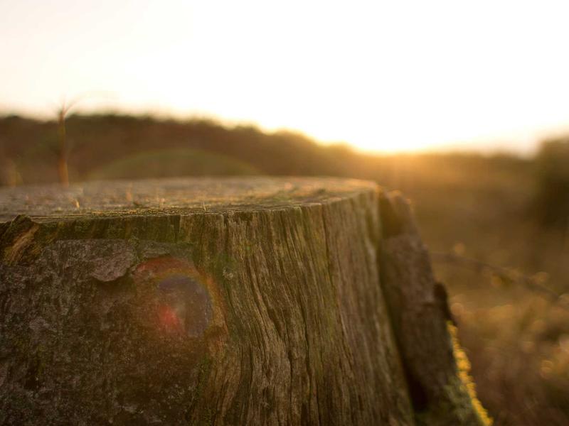 sudoku valid solution screenshot 6