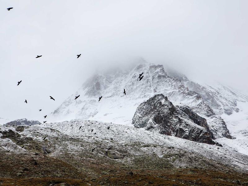 sudoku cloud sync screenshot 1